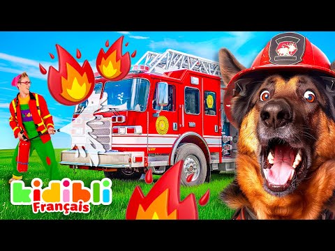 Compilation Chiens Pompiers et Chevaux | Vidéos Educatives pour Enfants | Kidibli