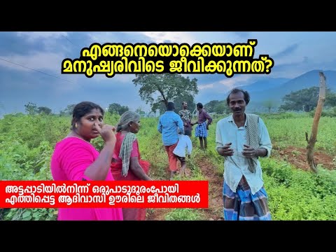 ഈ കാട്ടിലും മനുഷ്യർ ജീവിക്കുന്നു! Life in Remote Tribal Settlement - Attappadi - Tamilnadu