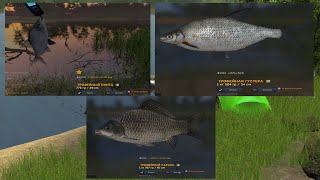 Fisher Online: Пра (Россия)