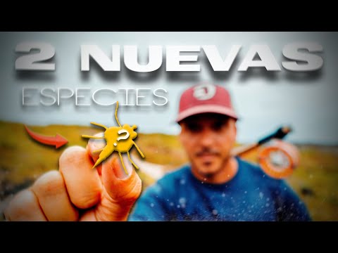 A ESTE le PICAN sin RECOGER | Lured Vlog 368