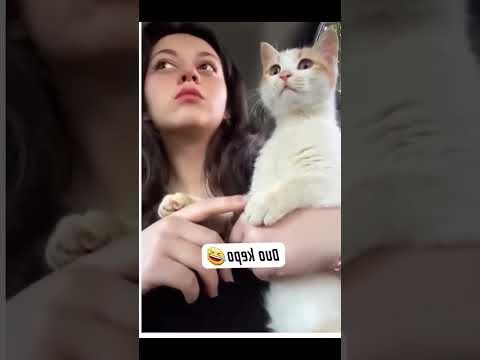 🐱☺ Şu Halimenin Kızı Değilmi Yanındaki Kim Acaba 🤣🤣