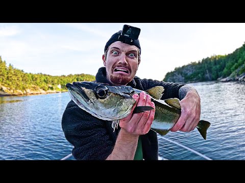Jeg fikk ÈN fisk… men den forandret alt