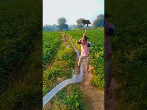krta rhta hu me farmer farmer life farming #youtubeshorts #indianfarmerlife #new #shorts