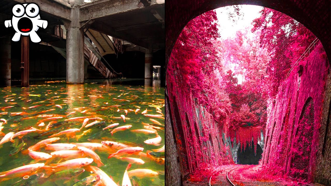 Proof Nature takes over Abandoned Places in Amazing Ways