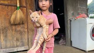 Kitten Plays with Kids and Tries Children’s Snacks | Meowing TV.