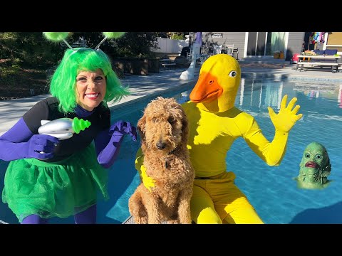 Duck Surprises PUPPY With Dancing Pool Chase!