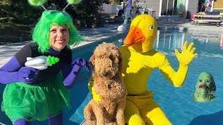 Duck Surprises PUPPY With Dancing Pool Chase!