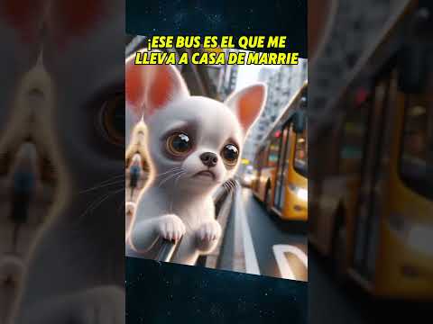 UN PERRO NUNCA OLVIDA 🥲 #perros #chihuahua #mascotas #perroabandonado #shortsviral