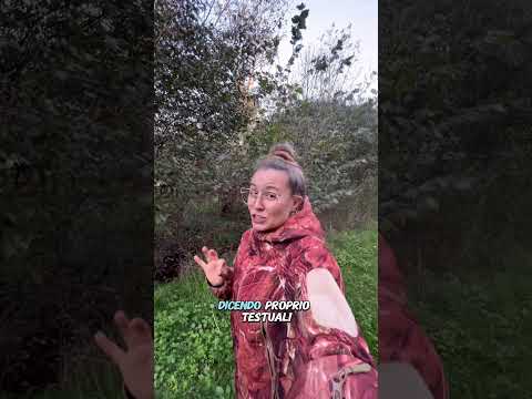 È entrato un capriolo NELL’ORTO🦌