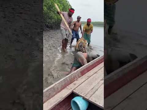 On Camera Recording Fisherman Sundarban Boat!๐ฏ
