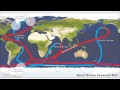 Ocean Currents and Carbon Dynamics