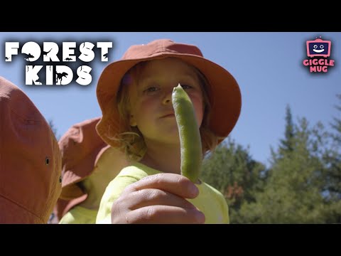 Growing Up | Forest Kids (7-Minutes of Nature & Learning for Kids!)