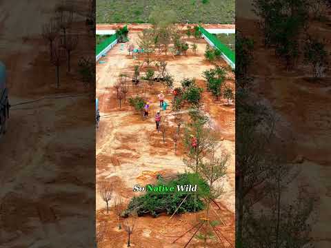 A Bridge Built Only for Animals.#Animal #Bridge #Wildlife #Engineering #farming #knowledge