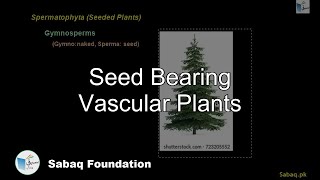 Seed Bearing Vascular Plants
