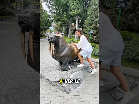 “Manvi y los animales que no quieren ayudar”