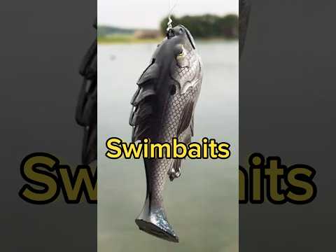 I Went Bass Fishing With SWIMBAITS!