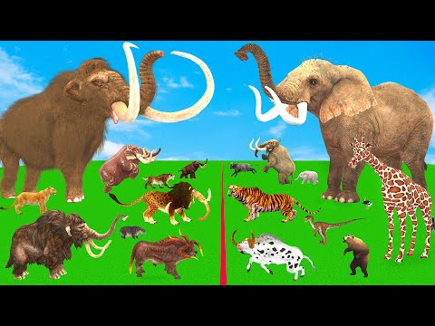 Modern Mammals vs Cenozoic Beasts Size Comparison Mammoth T-Rex Vs Elephant Lion Animal Epic Battle