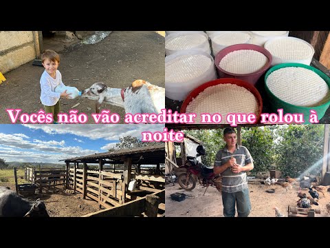 DO LEITE AO QUEIJO : NOSSA TARDE NA ROÇA + SURPRESA INESPERADA ! 🐃🥰