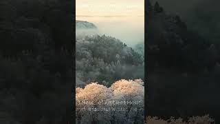 Relaxing Winter Views #shorts #peacefulmusic