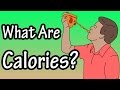 Understanding Calories