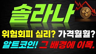 [솔라나 주가전망] 긴급속보!! 위험회피 심리? 가격훨훨? 알트코인! 그 배경에 이목. #솔라나목표가
