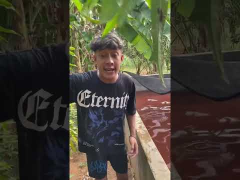 gitar kesayanganku hancur#videoshort