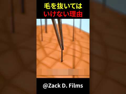 毛を抜いてはいけない理由 #shorts