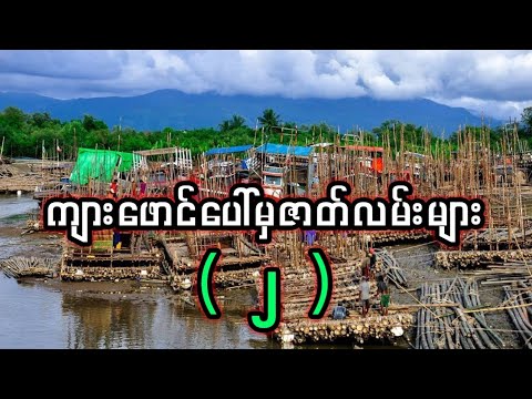 ကျားဖောင်ပေါ်မှ ဇာတ်လမ်းများ ( ၂ )