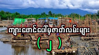 ကျားဖောင်ပေါ်မှ ဇာတ်လမ်းများ ( ၂ )