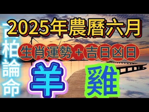 【古柏論命每月運勢+吉日凶日】2025年農曆6月(陽曆6/25 ~7/24)生肖運勢分享 -    羊 + 雞      #運勢#八字