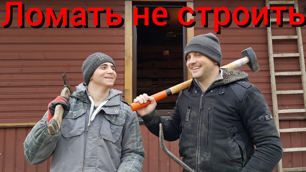 Приручение дикой собаки Найды. Белорусские драники. Наш туалет будет ближе, чем все думали.