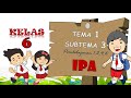 Pelestarian Hewan dan Tumbuhan