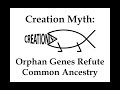 Orphan Genes and Evolutionary Theory