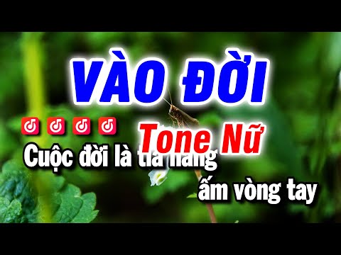 Karaoke Vào Đời Nhạc Sống Tone Nữ | Beat Bảo Hưng