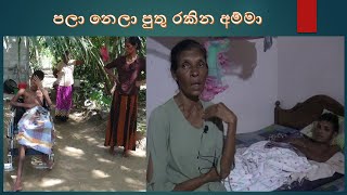 sijith wirasinha roda putu පලා නෙලා පුතු රකින අම්මා