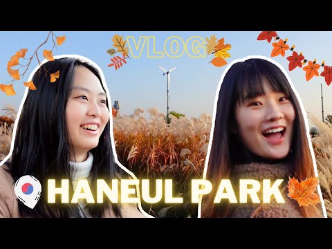 We came for the pink grass, but all we found was silver...? | AUTUMN in HANEUL PARK, Seoul!