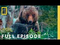 Wildlife Adaptations and Behaviors in Grand Teton