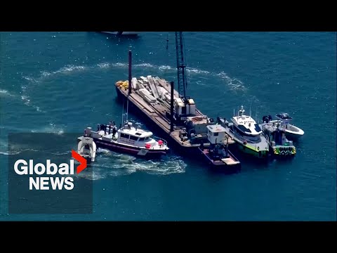 YouTube video thumbnail: 2 Children Dead After Barge Collides With Small Sailboat Near Miami