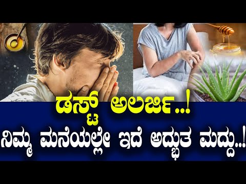 ಡಸ್ಟ್ ಅಲರ್ಜಿ..! ನಿಮ್ಮ ಮನೆಯಲ್ಲೇ ಇದೆ ಅದ್ಭುತ ಮದ್ದು..!