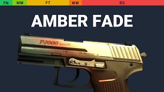 P2000 Amber Fade Wear Preview