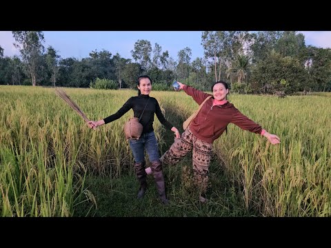 สาวลาวใส่เบ็ดกบตอนข้าวออกรวงໃສ່ເບັດກົບເຂົ້າອອກຮວງ