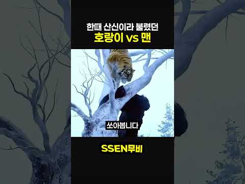 한때 산신이라 불렸던 호랑이 vs 맨