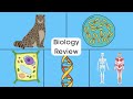 Comprehensive Review of Life Science Concepts