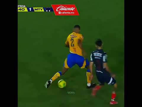 Hay un espontáneo..😂 | Tigres vs Rayados | Joaquim