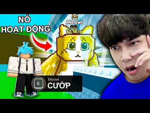 Noxuss Thử Nghiệm 50 LỜI ĐỒN KHÔNG THỂ Nhưng Lại CÓ THẬT Trong Steal A Brainrot | Roblox