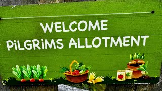 PILGRIMS ALLOTMENT 4th APRIL 2026