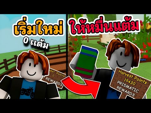 เริ่มใหม่ 24 ชม.ทำสวนใหม่จาก 0 ให้ได้ 10,000 แต้ม event ใหม่ Roblox Grow a Garden