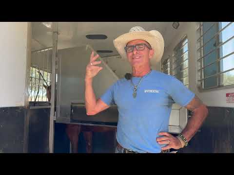 Halter choice while trailering