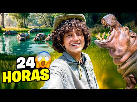 ASÍ VIVEN LOS HIPOPÓTAMOS EN COLOMBIA