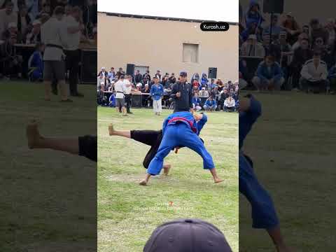 Halolmi Tayson polvon #sport